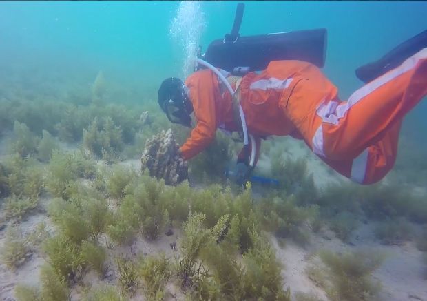 首页-PA真人集团有限公司官网