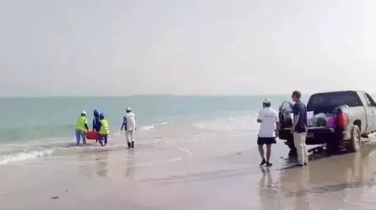 首页-PA真人集团有限公司官网