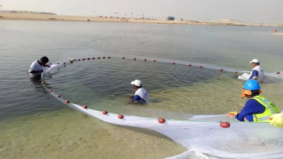 首页-PA真人集团有限公司官网