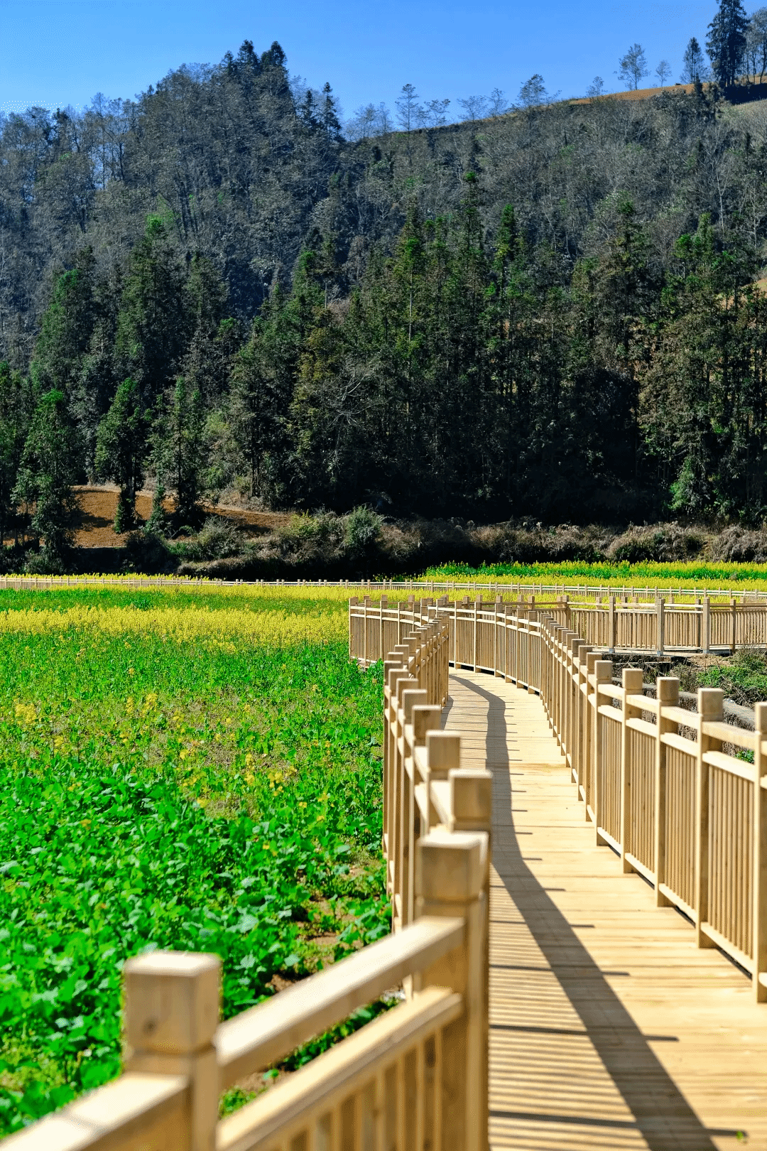 首页-PA真人集团有限公司官网