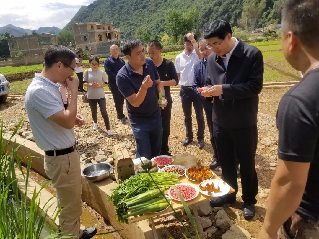 首页-PA真人集团有限公司官网