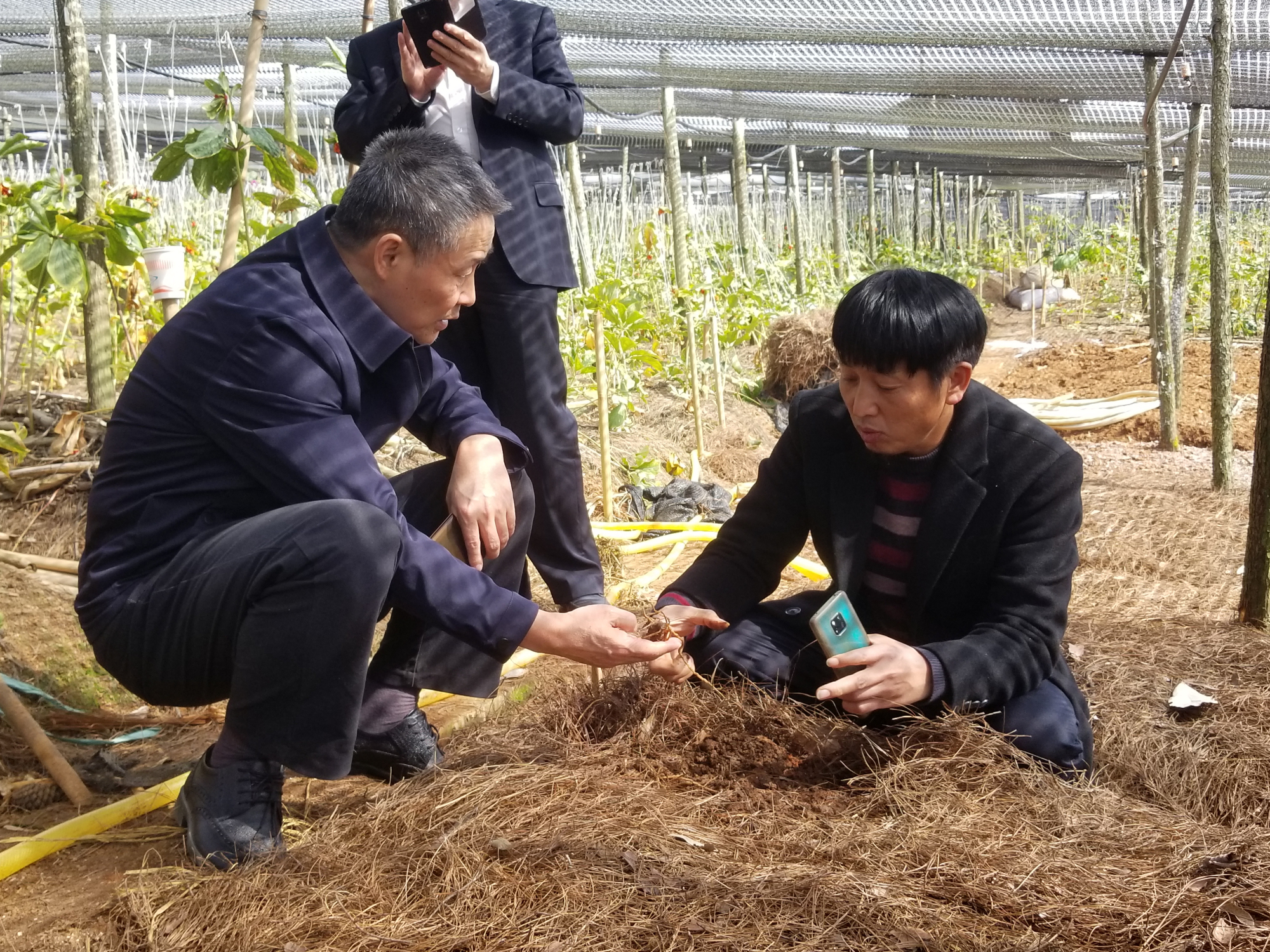 首页-PA真人集团有限公司官网