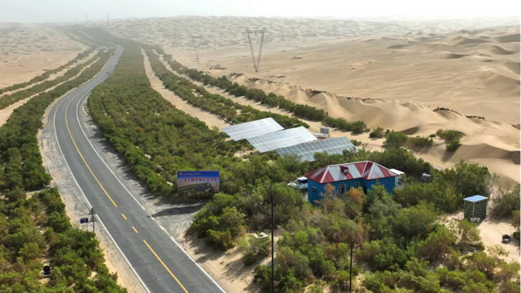 首页-PA真人集团有限公司官网