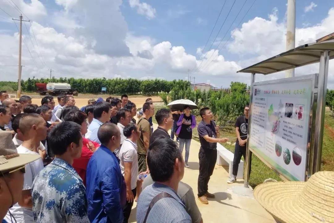 首页-PA真人集团有限公司官网