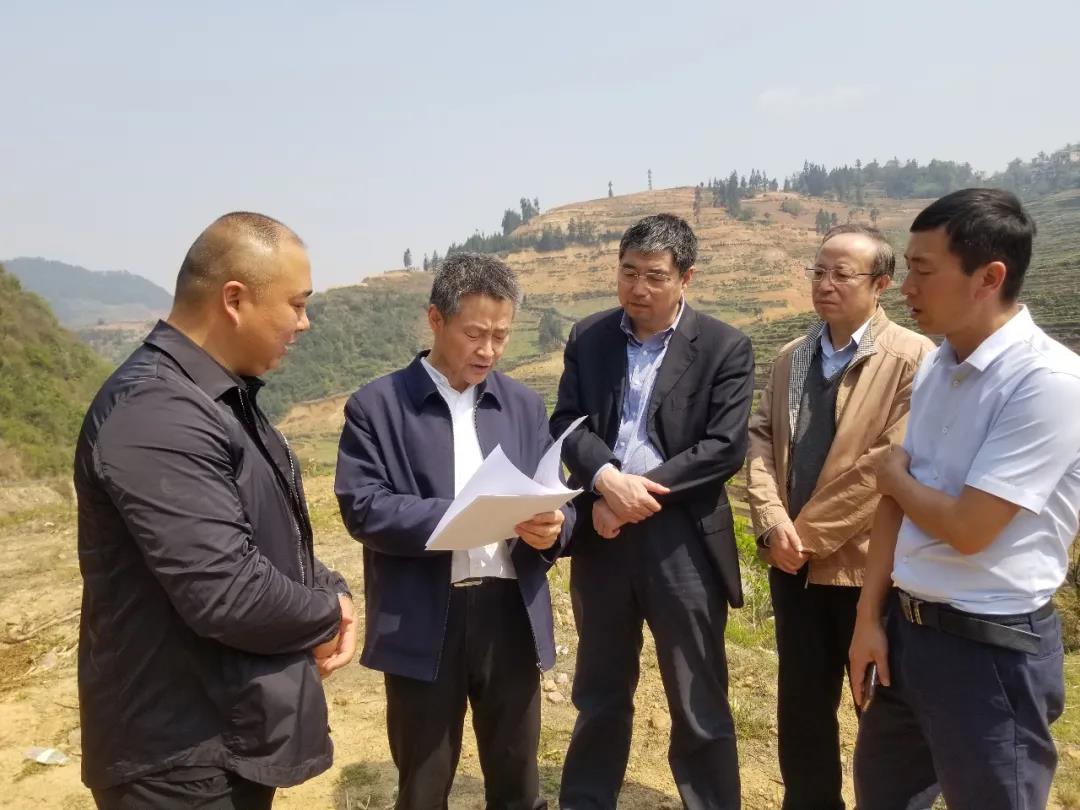 首页-PA真人集团有限公司官网